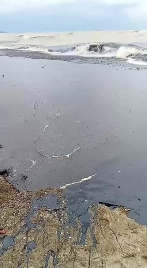 ��� ������: ������� - ������-���������