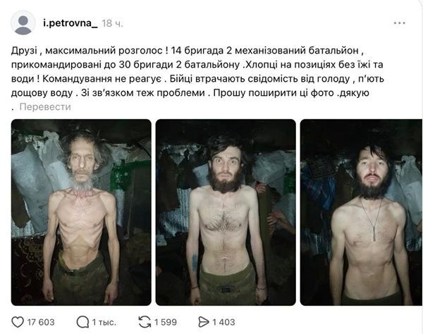 ������ ����������: ��� �� ������ ����������. ��� ����������� �� 14-� ������� 2-�� ��������� ���