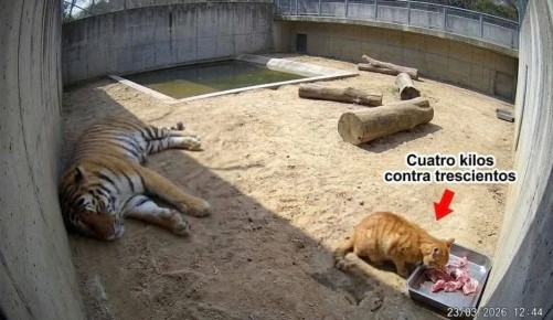 ���� ����: ����� ��� ��� ������ ������ ������ ��� � ������������ ����� � �������� ����������� � ������