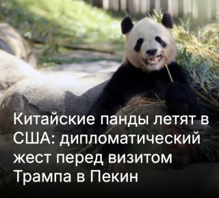 ������ ����������: � ���������� ������������ ������� ���������� �������� ������ � ������������� ��� �� ����������, ����� ��������� ������������� ����, ��������� ���� ���� � ����������� �����