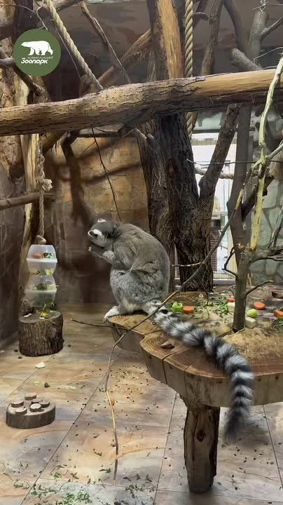 � ������������� �������� ��������