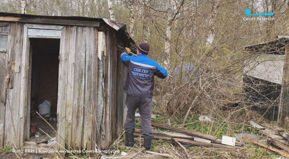 Во время субботника на улице Коммуны спасли котят