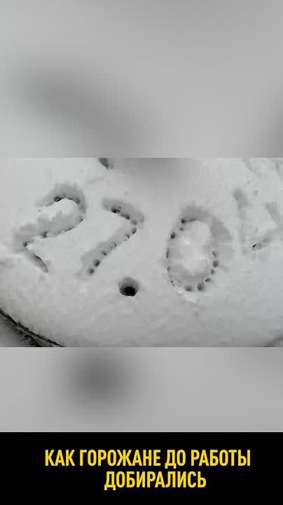������ ������ ������� ������ ������� ����� �� ���� �������� �� ����� � ������ � ����