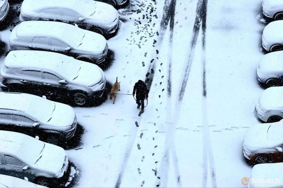���������� ���� �������� ������ ����� � ���������� � ����������� ��� �������