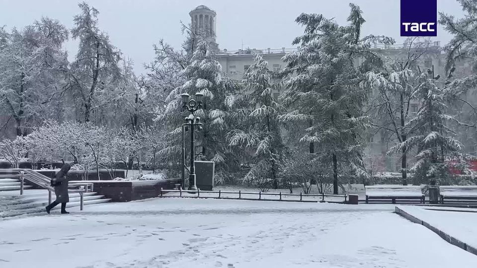 ������ ����������: ������������ �� ������ ��������� ����������: ���, � ��� ������� ����?�