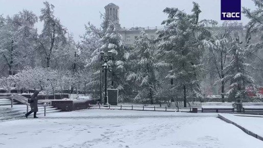 ������ ����������: ������������ �� ������ ��������� ����������: ���, � ��� ������� ����?�