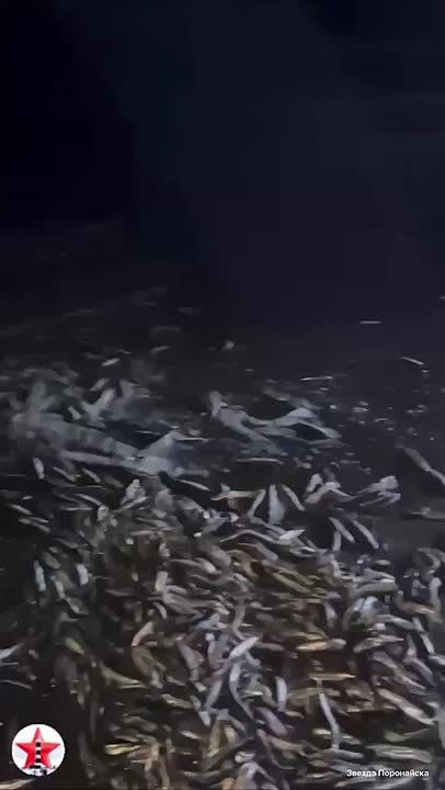 ����� ���� ����� �� ��������, � � ��������� ���� �������� � ������