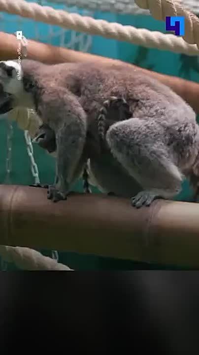 � �������� ������� � ���������� �������� � ������� ����������
