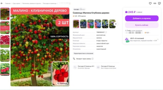 ���������� ��� ������: ������� ������������� ��� ���������