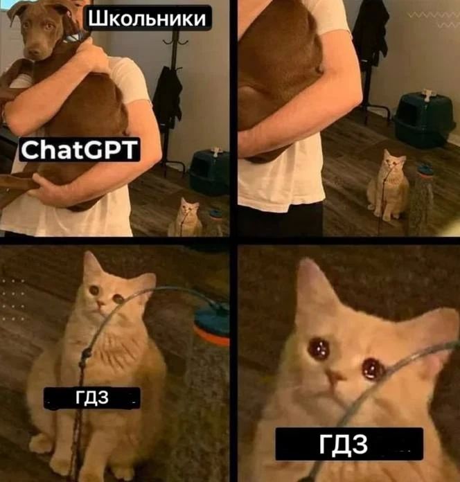 Рособрнадзор: домашние задания для школьников не будут отменять, но их необходимо трансформировать