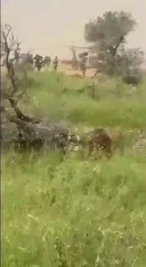 ������ ��������: ���� ������ ����������� �����, �� ������� ������� ��� ���������� ����������� � ������ ����� ������ ����, ��� ����� �����, ������� �� ����� � ������ 2023 ����