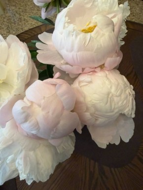 ����, �������, ������� 1 ���