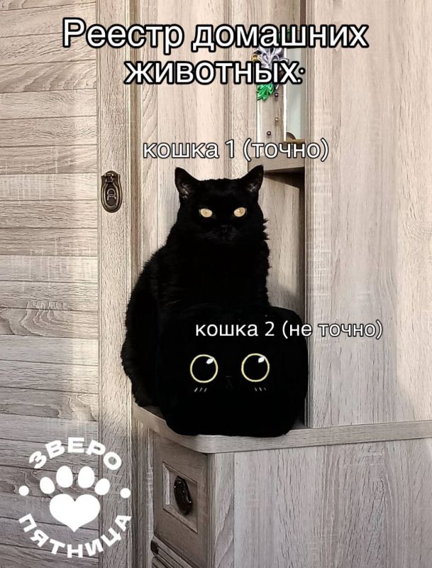 ������ ������ �������� �������� ���������� ������� �������� �������������� �����