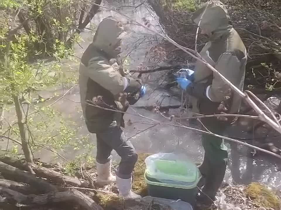 ��������������� ������ �������� ����������� ���� � �������� ����������� �����