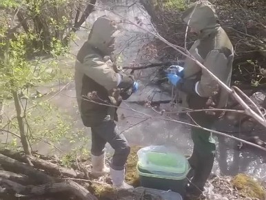 ��������������� ������ �������� ����������� ���� � �������� ����������� �����