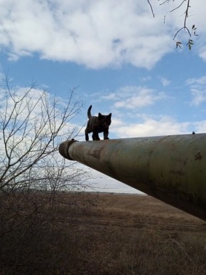 ������� ���. ����� ������