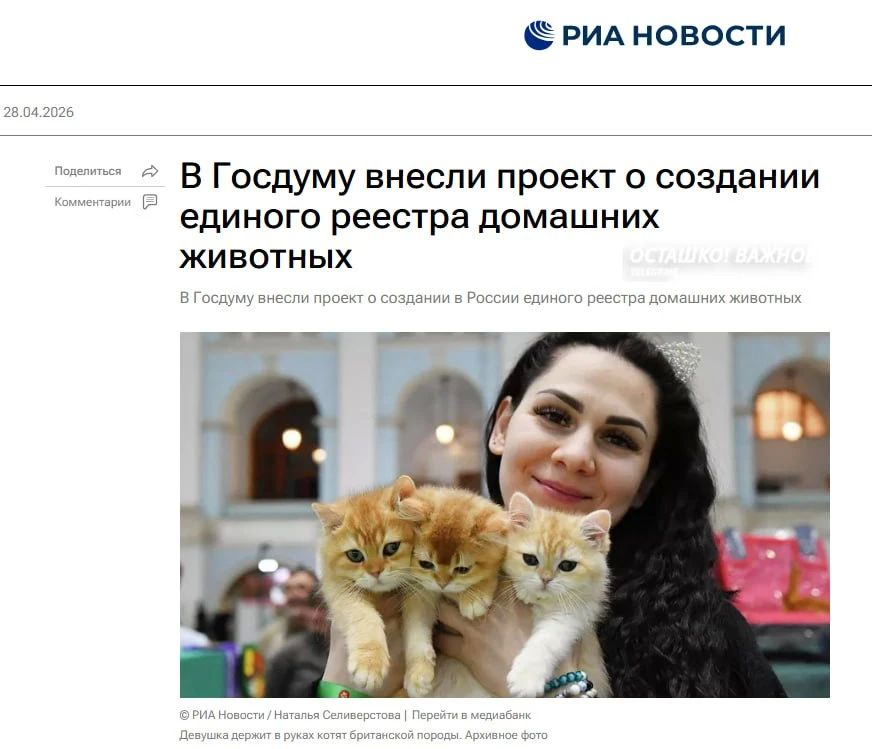 ����� � ������ ������� �������� ��������: �������� ������ �������������� � �����������
