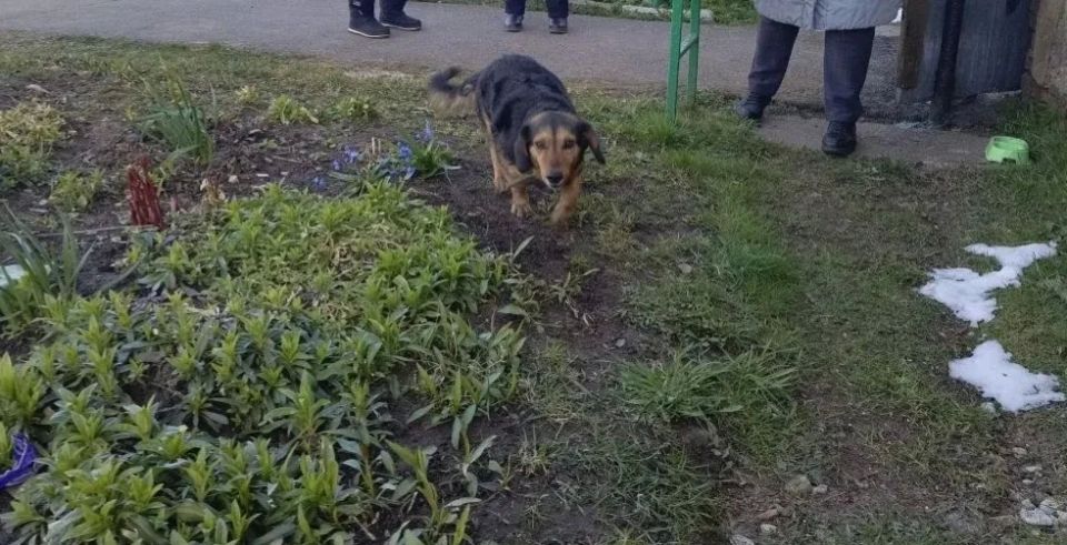 � ����������� ������ �� ���� ������ ������