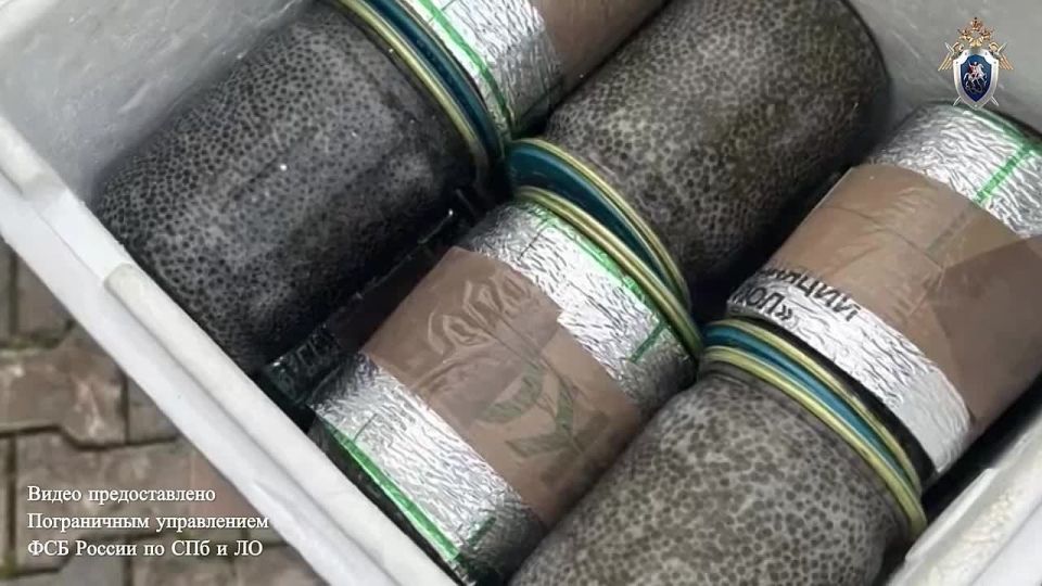 � �����-���������� ���� �������� ����������� ��������� � ���������� ������� ������ ����