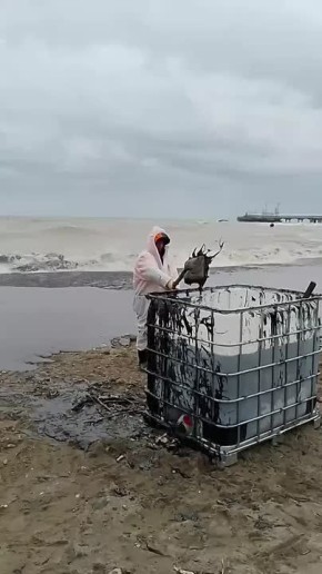 ���������� � ������. ����������� ������ ������?