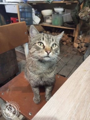 ������� ������ �������.. �������� ����� ���������� ��������! ��� ������ ��� ������ � ��