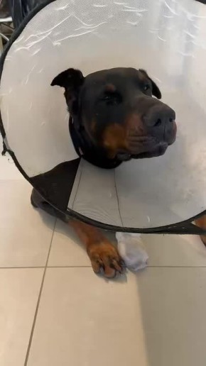 ���� ����: ���� � �������. ����� ����� ������� �� ���, ����� ��� ���� ������