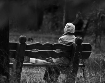 ���� ����: ������ ����� � ��������, ���-�� �����������