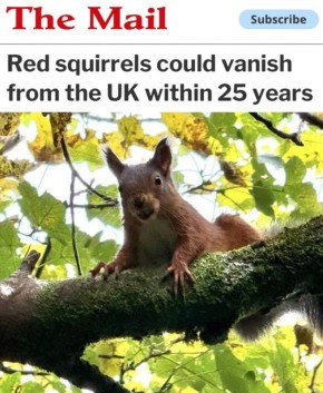 ������������ ����� ��������� ��������� � ��������