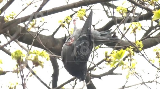 �� �������� ���������� �� ������ �����, �� �, ��� ���������, ������