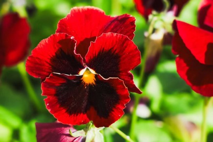 ��������� ������: ���� ���������� ������ � ��� ������