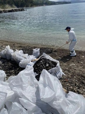 ������ ������������� ������ � ������ ������