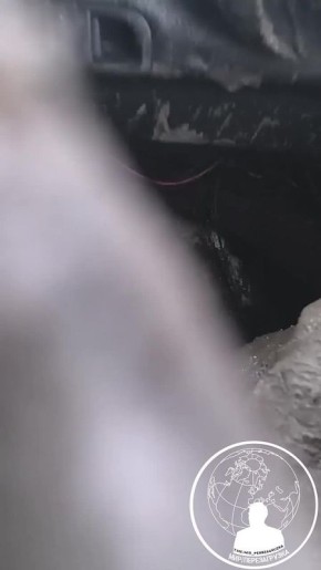 ����������� ����� ���������� ����� ����� �������� ����� � ����� "������ ��������"