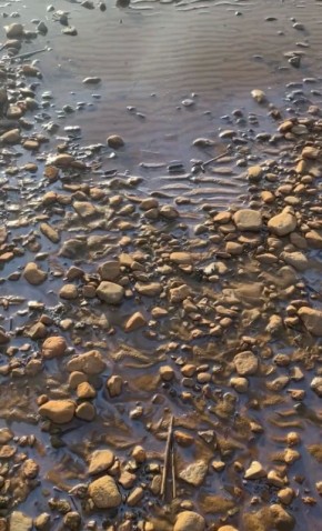 �� ����� � ������������ ����� ����� �������� �������� �����
