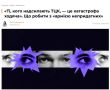 ���� �������� �����������, ������ ����������, ���������� ������� � ���������� � ���������� ��� � �����������