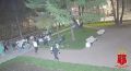 � ������ ���������� ��� ������ �������� �����