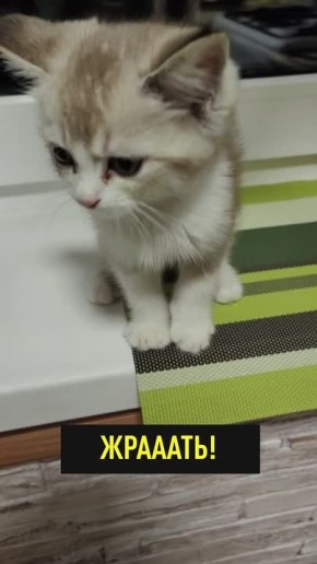 ������! � ������ ����� ���������� ���!: ��������� ���������� �� �������*