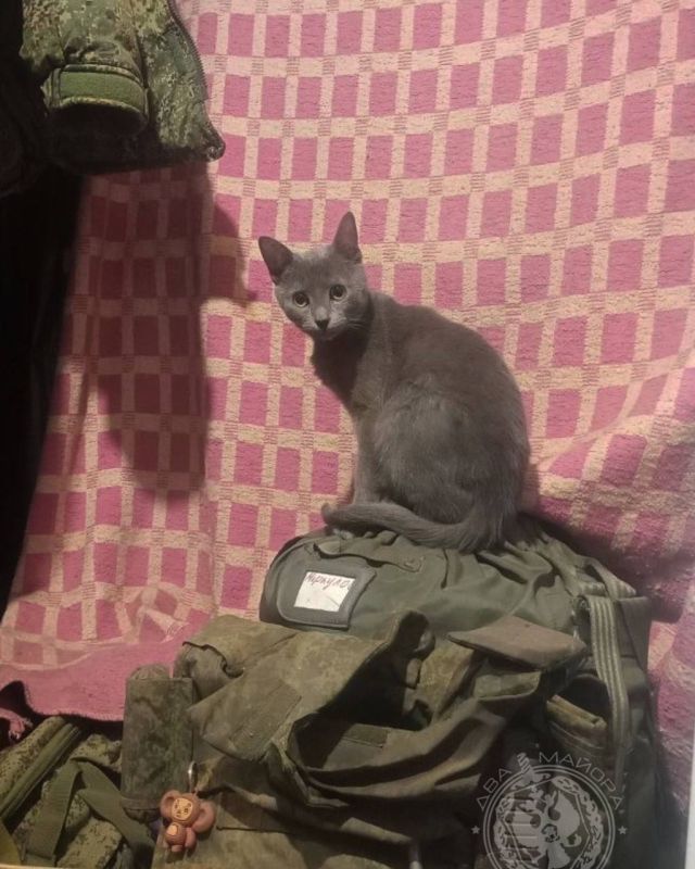 ��� ������: ������� ������ �������