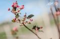 50 ������ �������� �� ����� ������ ����� �� ���������� ����� �������� �����������