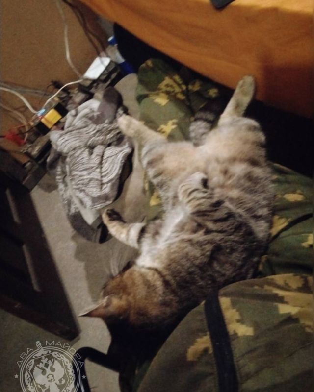 ��� ������: ������� ������ �������