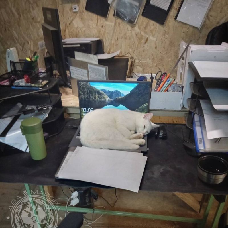 ��� ������: ������� ������ �������
