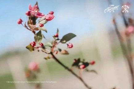 50 ������ �������� �� ����� ������ ����� �� ���������� ����� �������� �����������