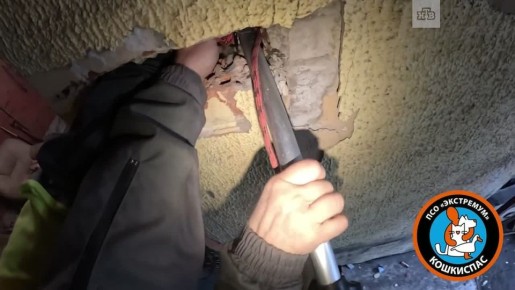 ����� ���� � ����������� �� �������� ������ �������� �����