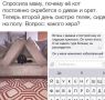 ����� �������: ������� �����. �������� "�� �����������" � �������, ��� ��� ��� ��������