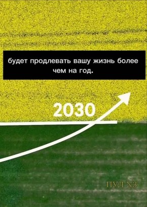 ����� �������� � � ���, ��� �������� �� 2030 ����, ����� ���� �����: