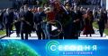 �� ����������� �������� ������ ������������-�������� ���������
