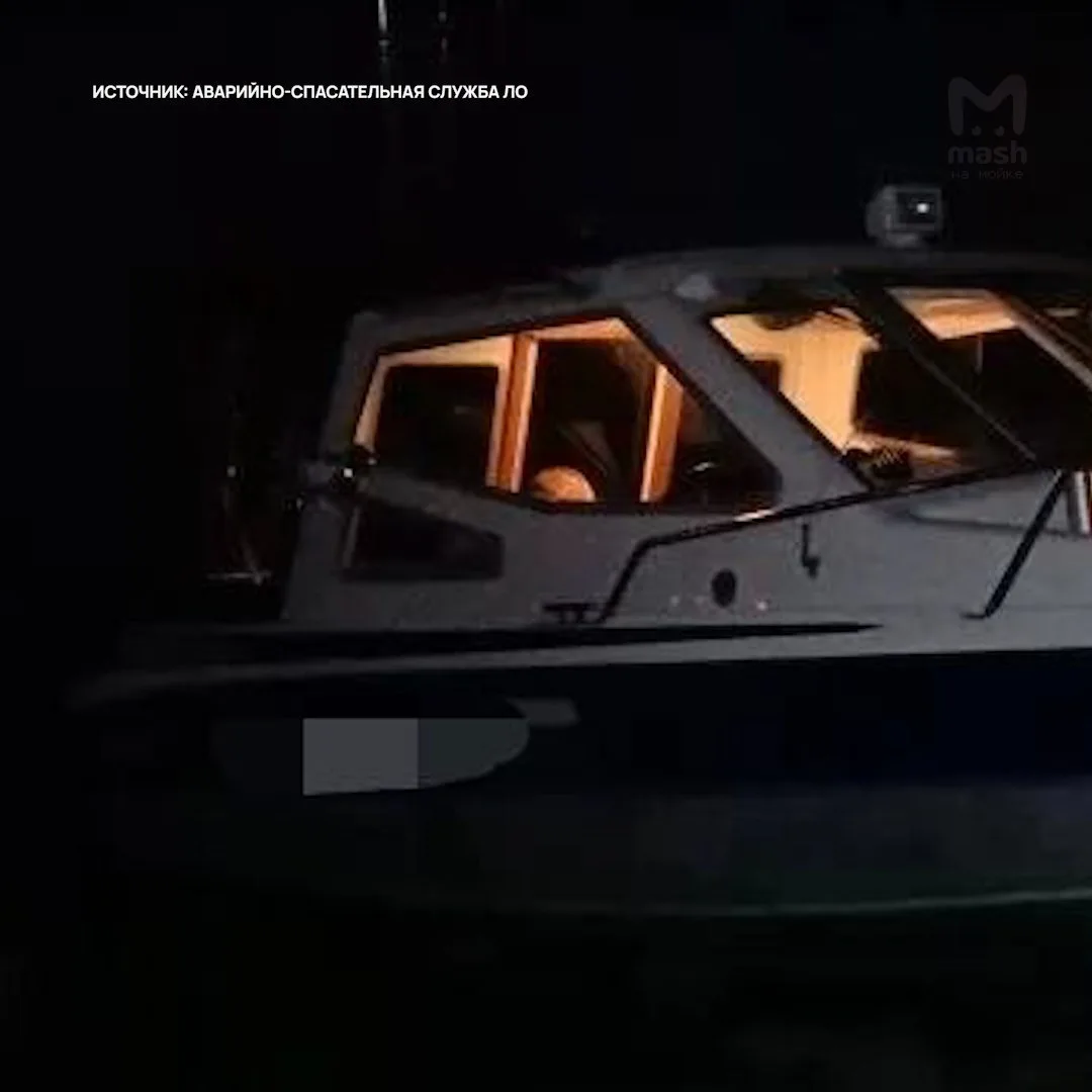 Катер на скорости вылетел на берег Невы в районе Отрадного — пострадали две женщины