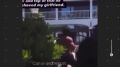 Крайне странный скандал произошёл на Гавайях