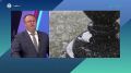 В Петербурге сейчас работают 102 фонтана