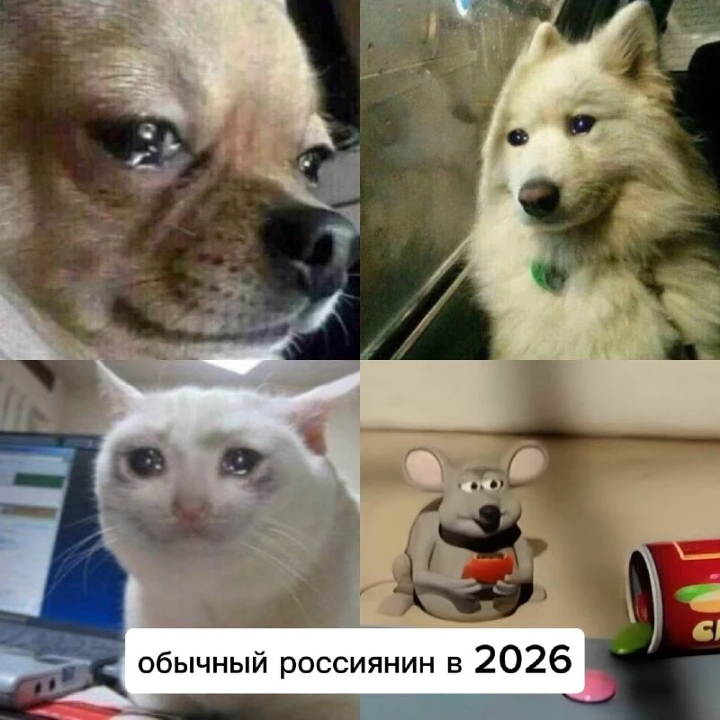 ВЦИОМ сообщил о снижении индекса счастья россиян до 52 пунктов по итогам апреля — это минимум почти за 15 лет