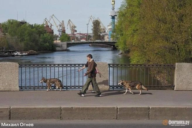 Ливни, грозы, град и шквал — и все в ближайшие дни